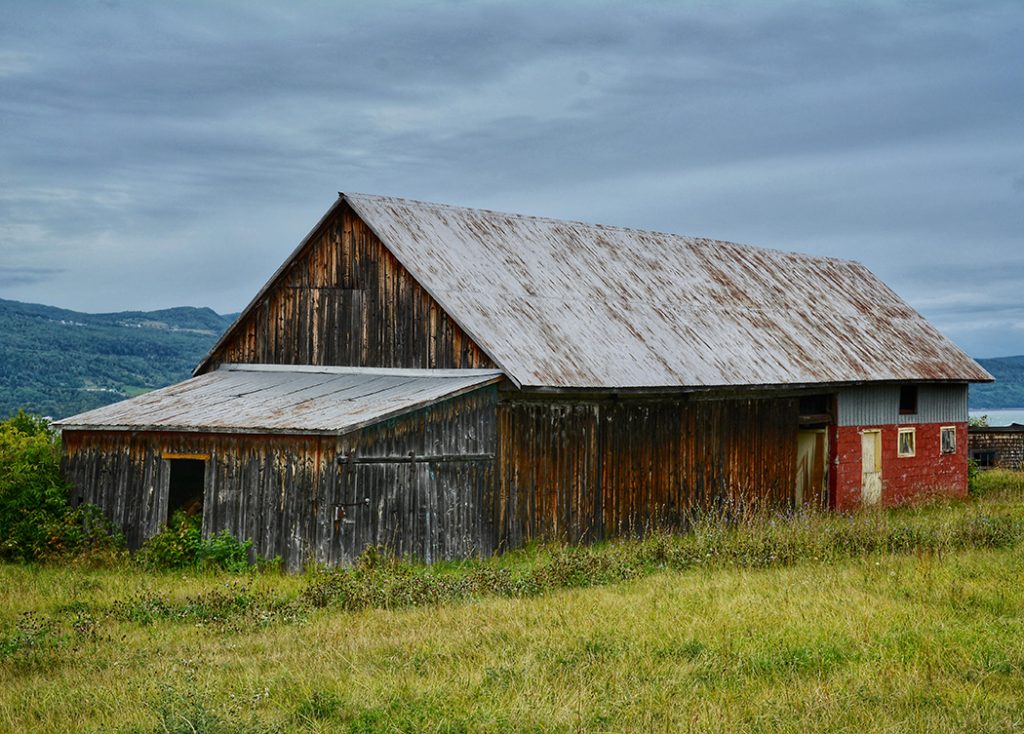 Brown Barn 1 10 - Art In Bloom Gallery