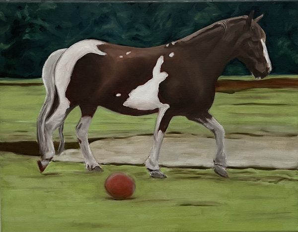 Dually and the Red Ball