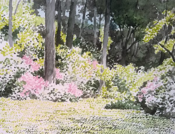 Sunlit Azaleas at the Edge of the Woods