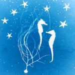 Cyanotype Photograms for Beginners-May 2 Workshop