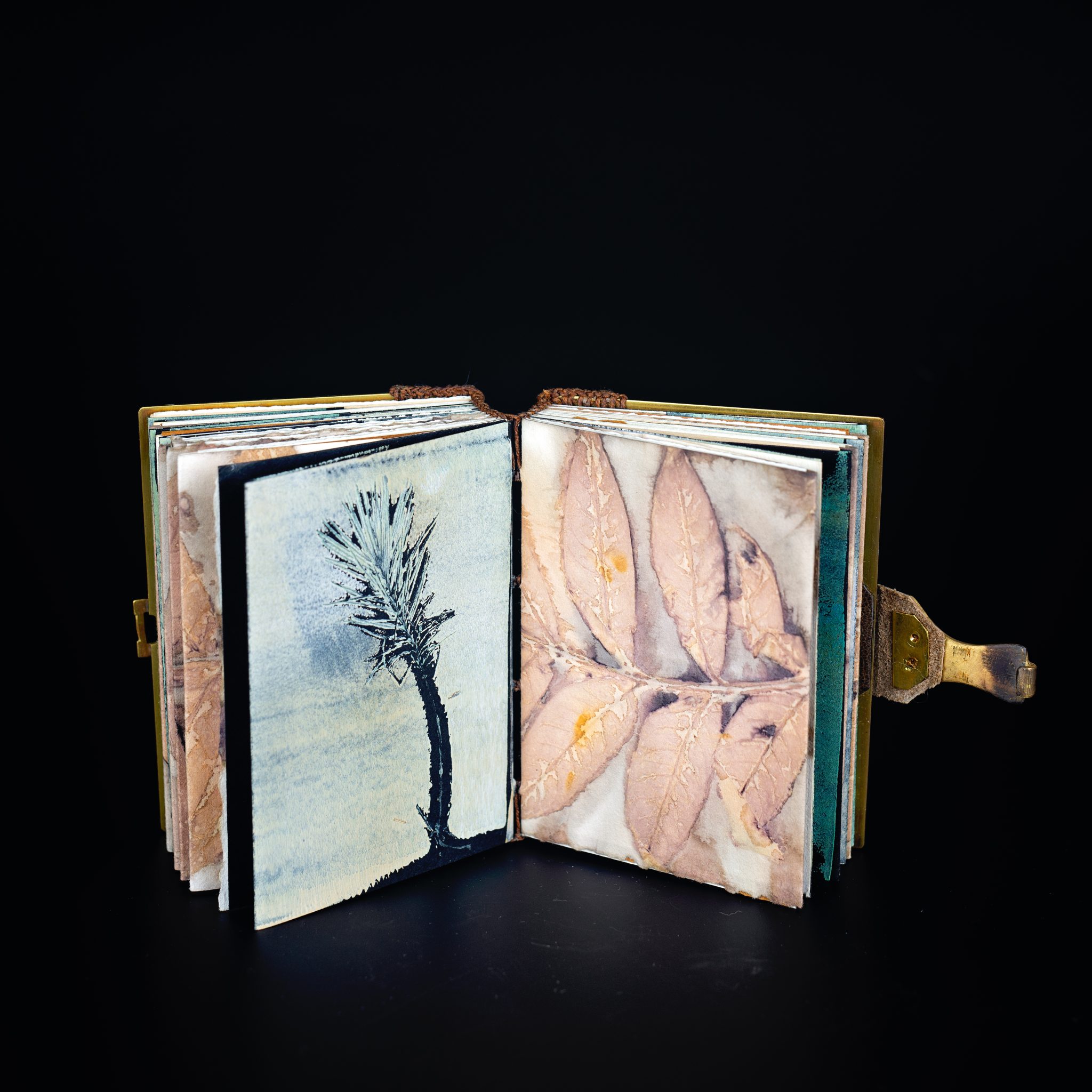 Field Notes Artist Field Notes - Art in Bloom Gallery - Art in Bloom Gallery