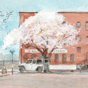 A Cherry Tree by the Brooks Building, Water Street