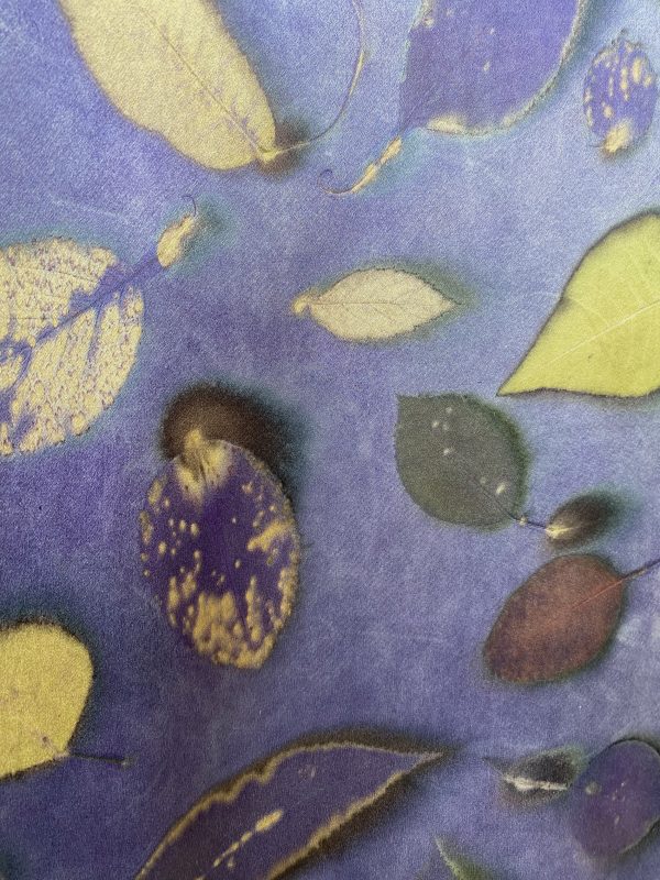 Silk Scarf "Eucalyptus & Dogwood on Charmeuse" (RY25.2) - Image 2