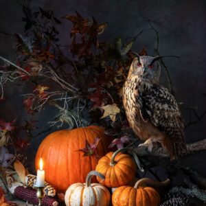 Autumn Fantasy with Owl
