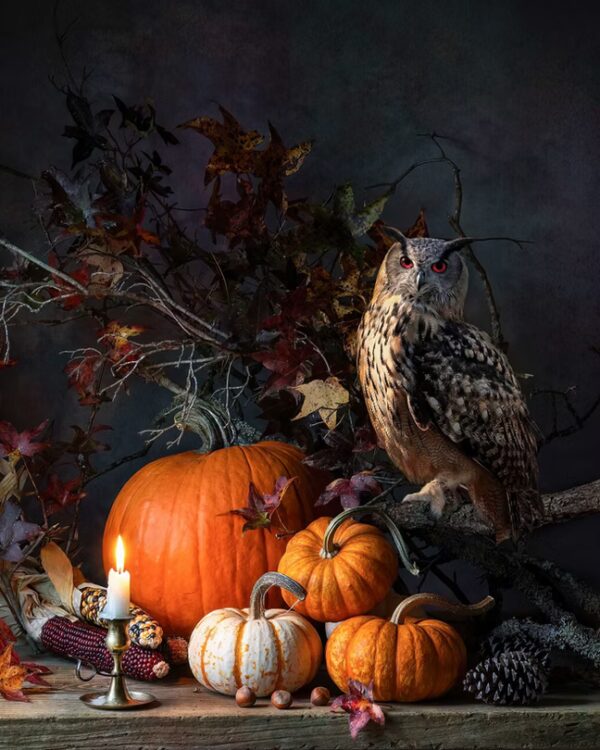 Autumn Fantasy with Owl
