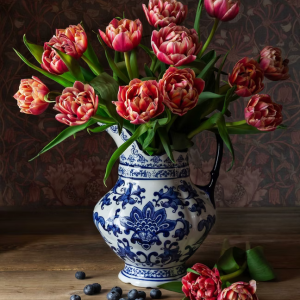 Dutch Tulips