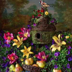 Garden Fantasy