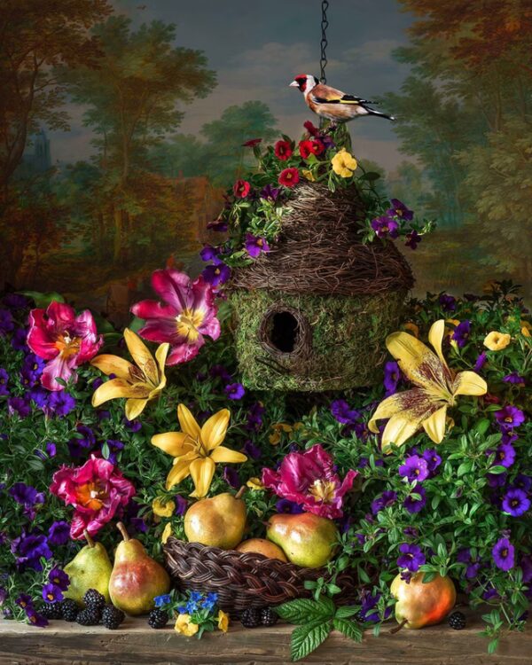 Garden Fantasy