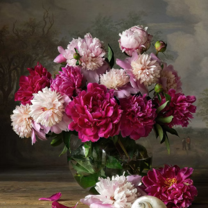 Garden Peonies