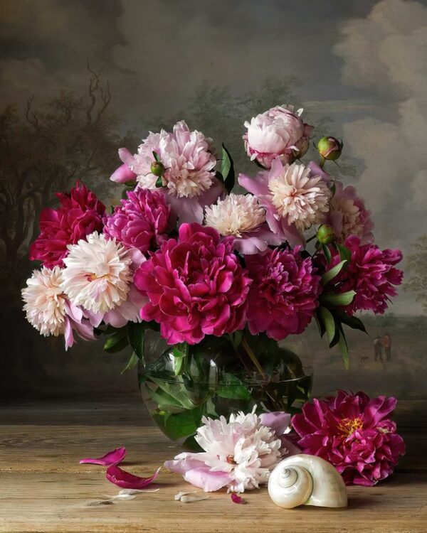 Garden Peonies