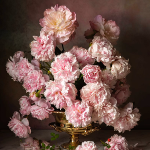 Majestic Peonies