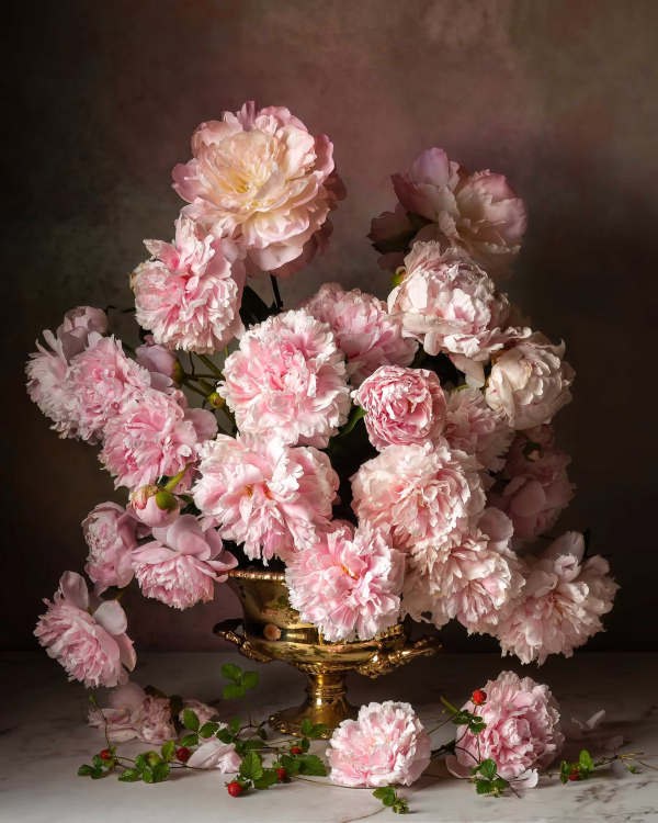 Majestic Peonies