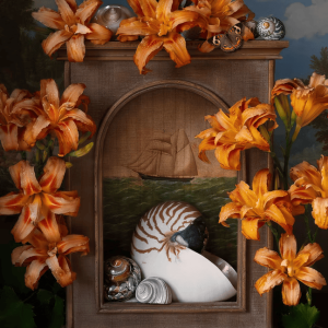 Sea Shell