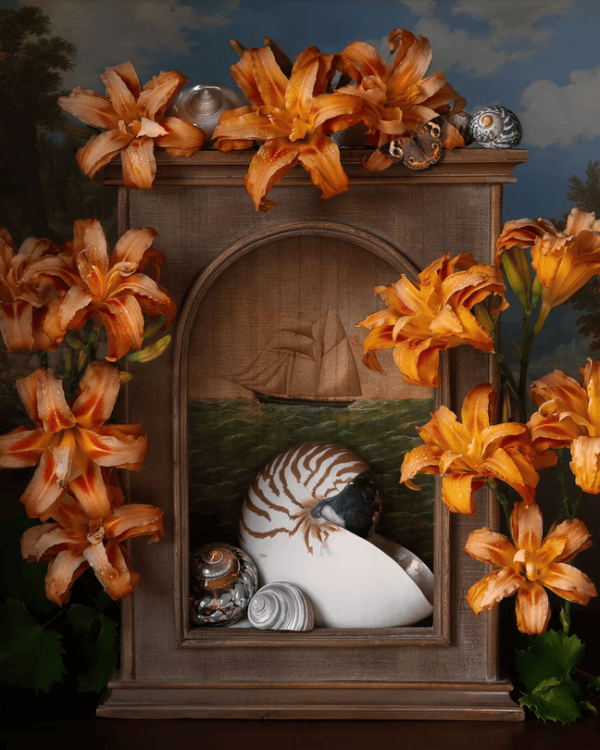 Sea Shell