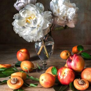 White Peonies and Apricots