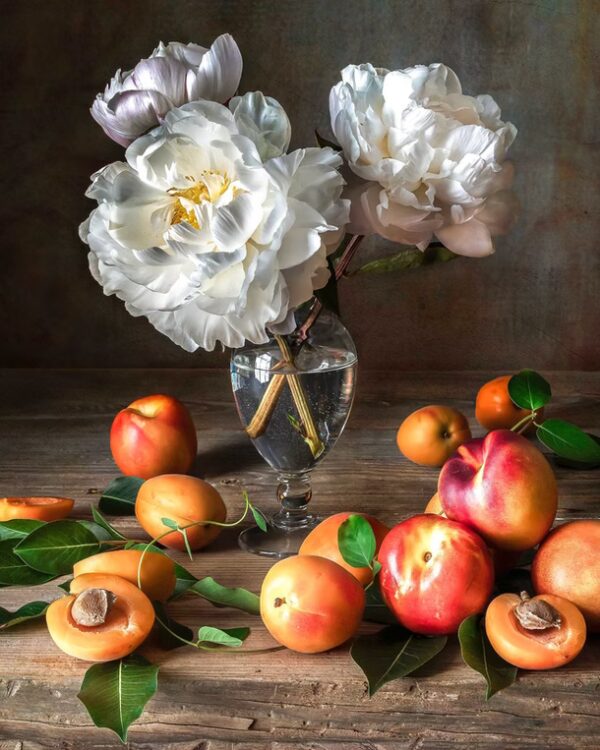 White Peonies and Apricots