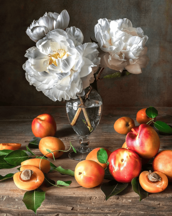 White Peonies and Apricots