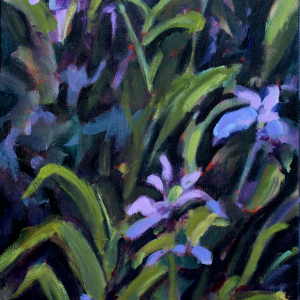 Irises