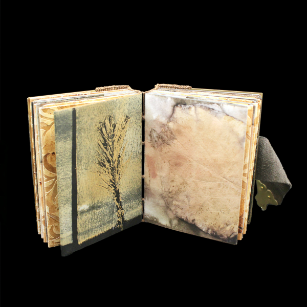 Jasper - Image 4