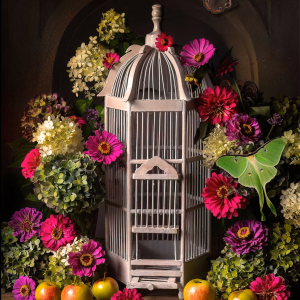 Empty Bird Cage with Flowers