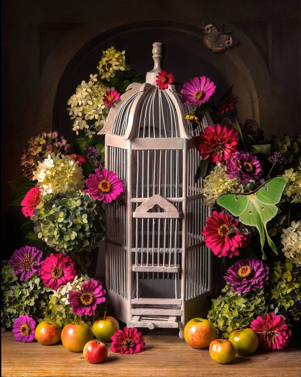 Empty Bird Cage with Flowers