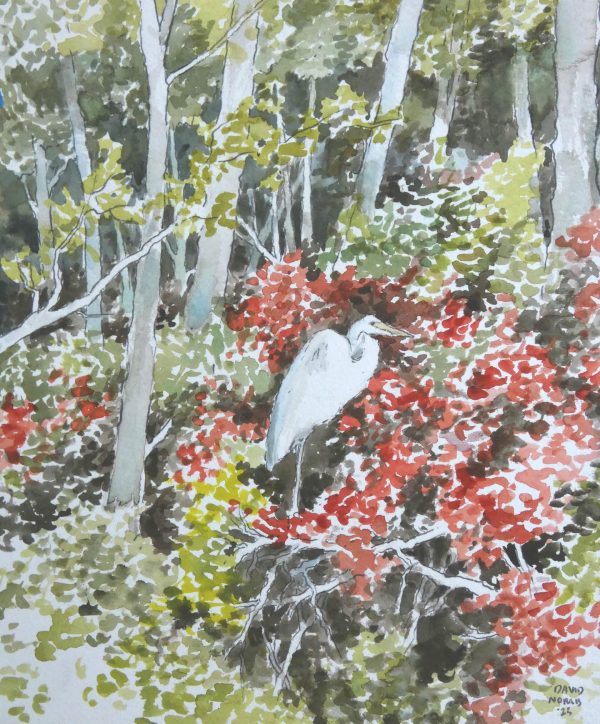 Egret Perched Amid Red Leaves at the Edge of the Woods
