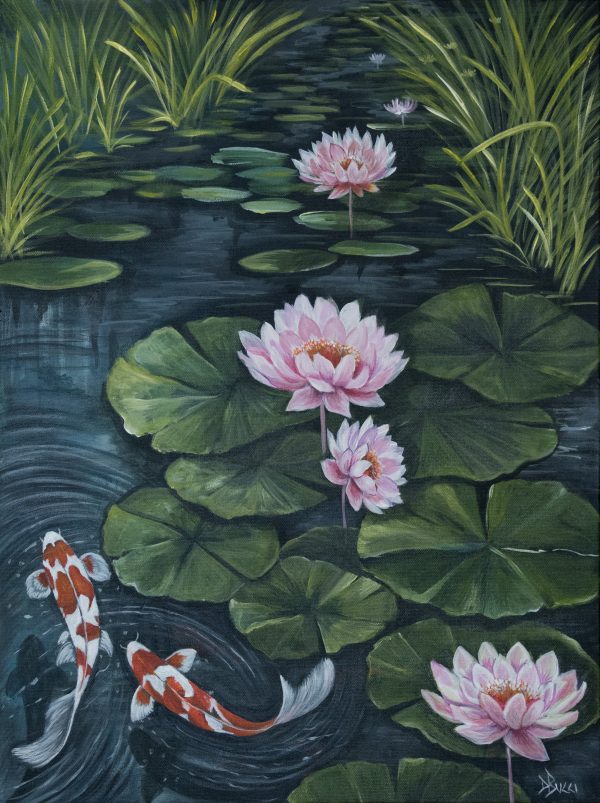 Koi Sighting