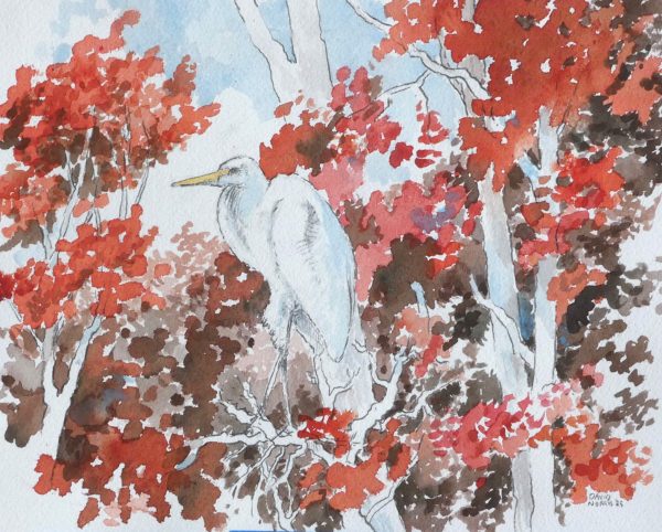 Snowy Egret and Red Autumn Leaves