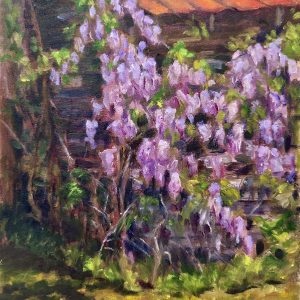 Wisteria