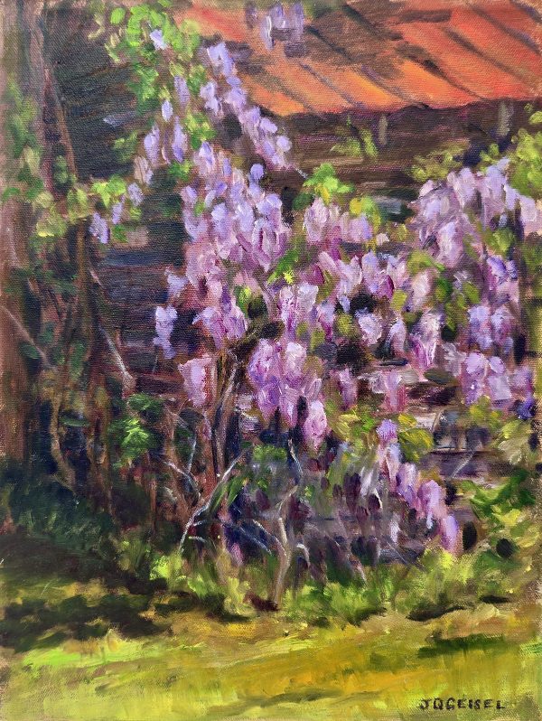 Wisteria