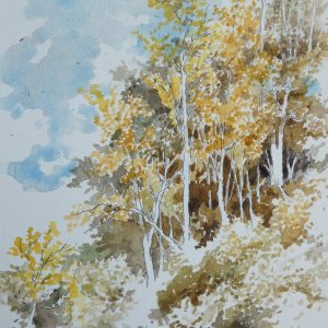 Yellow and Brown Fall Foliage on a Sunny Day