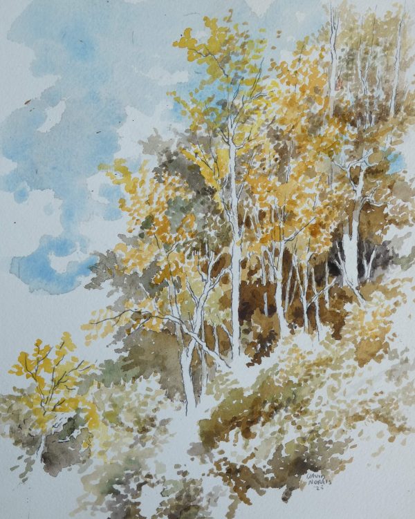 Yellow and Brown Fall Foliage on a Sunny Day