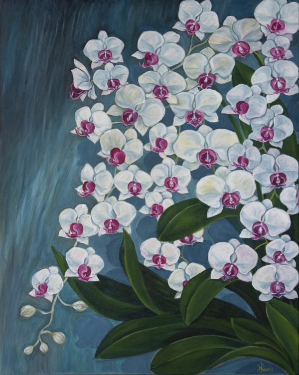 Raining Orchids