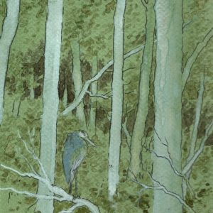 Great Blue Heron in Green Woods