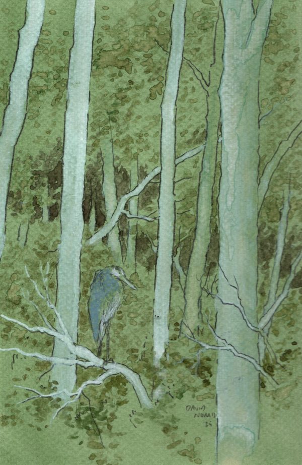 Great Blue Heron in Green Woods