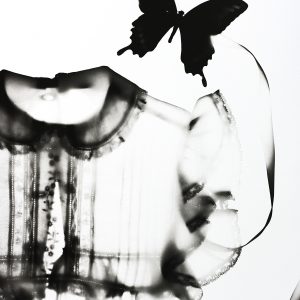 Butterfly and Collar