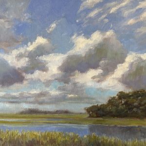 Clouds Over the Marsh