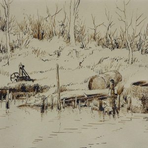 Eagles Island Shorelines and Steam Engines