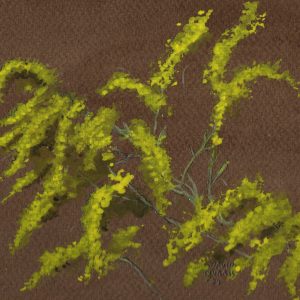 Goldenrod Watercolor I