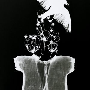 Bird, Wildflowers and Dress