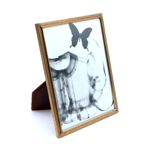 Butterfly and Collar