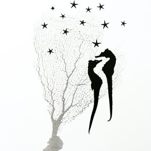 Seahorse Pair and Sea Fan