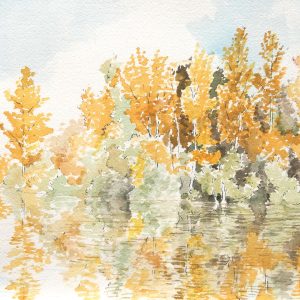 Reflections and Fall Colors on the Island