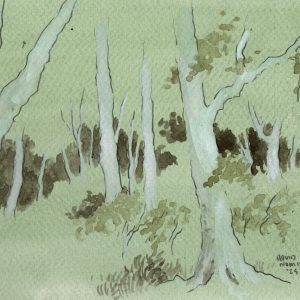Woodland Watercolor