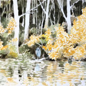 Yellow Autumn Leaves by the Pond, with a Heron