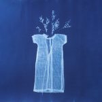 Cyanotype Photograms for Beginners