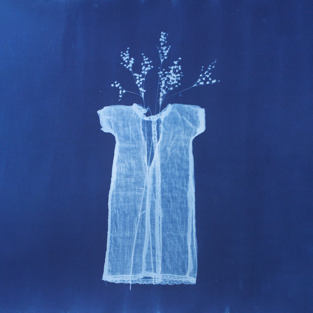 Cyanotype Photograms for Beginners