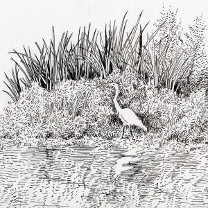 Egret on an Overgrown Sandbar in Summertime