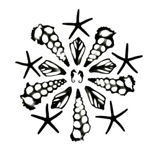 Seahorse Pair, Seashells, and Stars