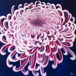 Transformation: From Seed to Bloom with Debra Bucci, Brian Evans & Dianne Evans